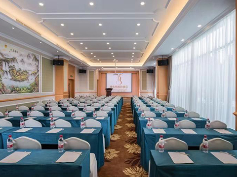 维也纳酒店会议室